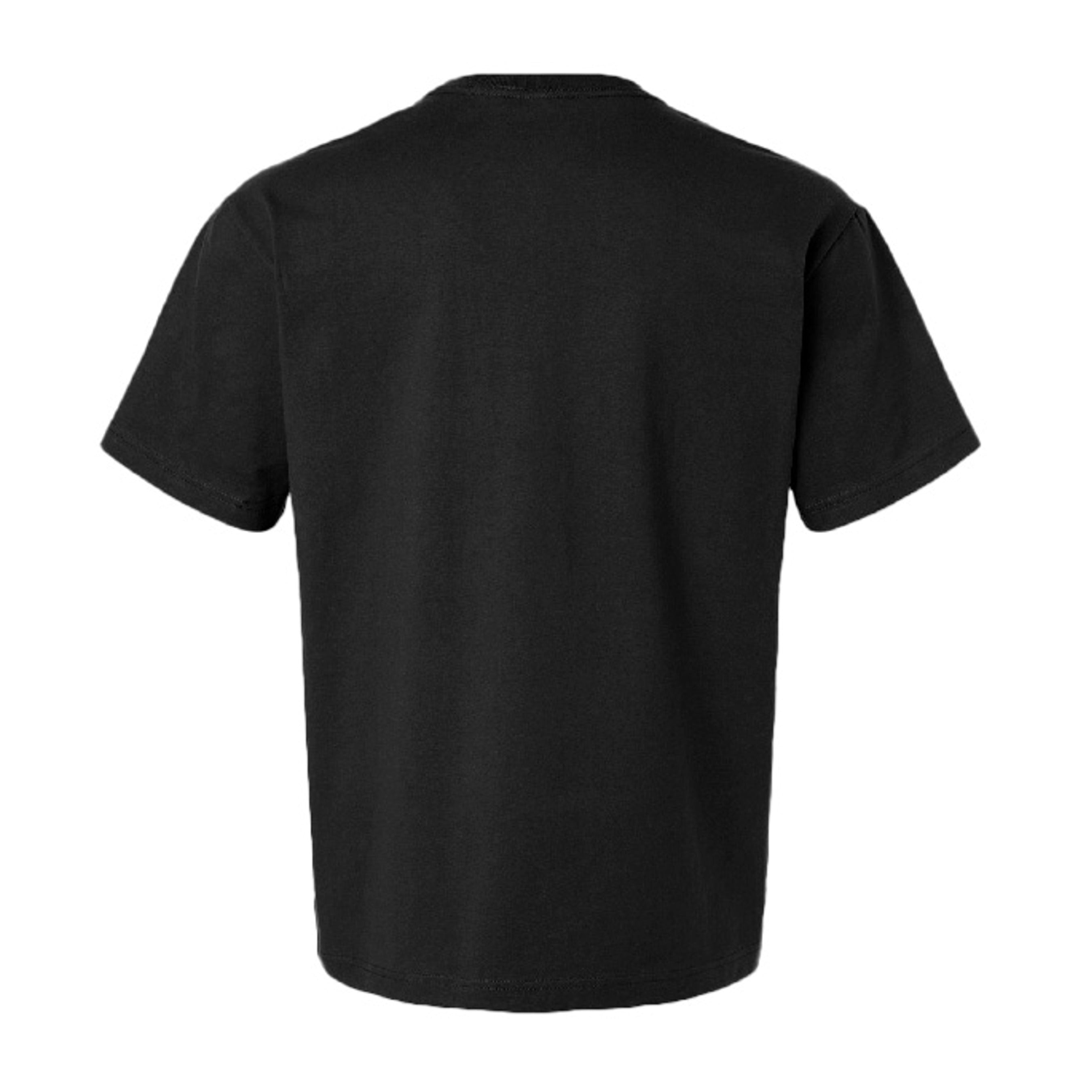Black - 4610C - BACK